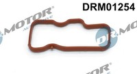 Dichtung AnsaugkrüMmer Drmotor Automotive DRM01254 FüR Audi VW