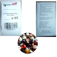 Ornamental Indian Corn Seeds  | Heirloom | Fresh Garden Seeds Instant Latch