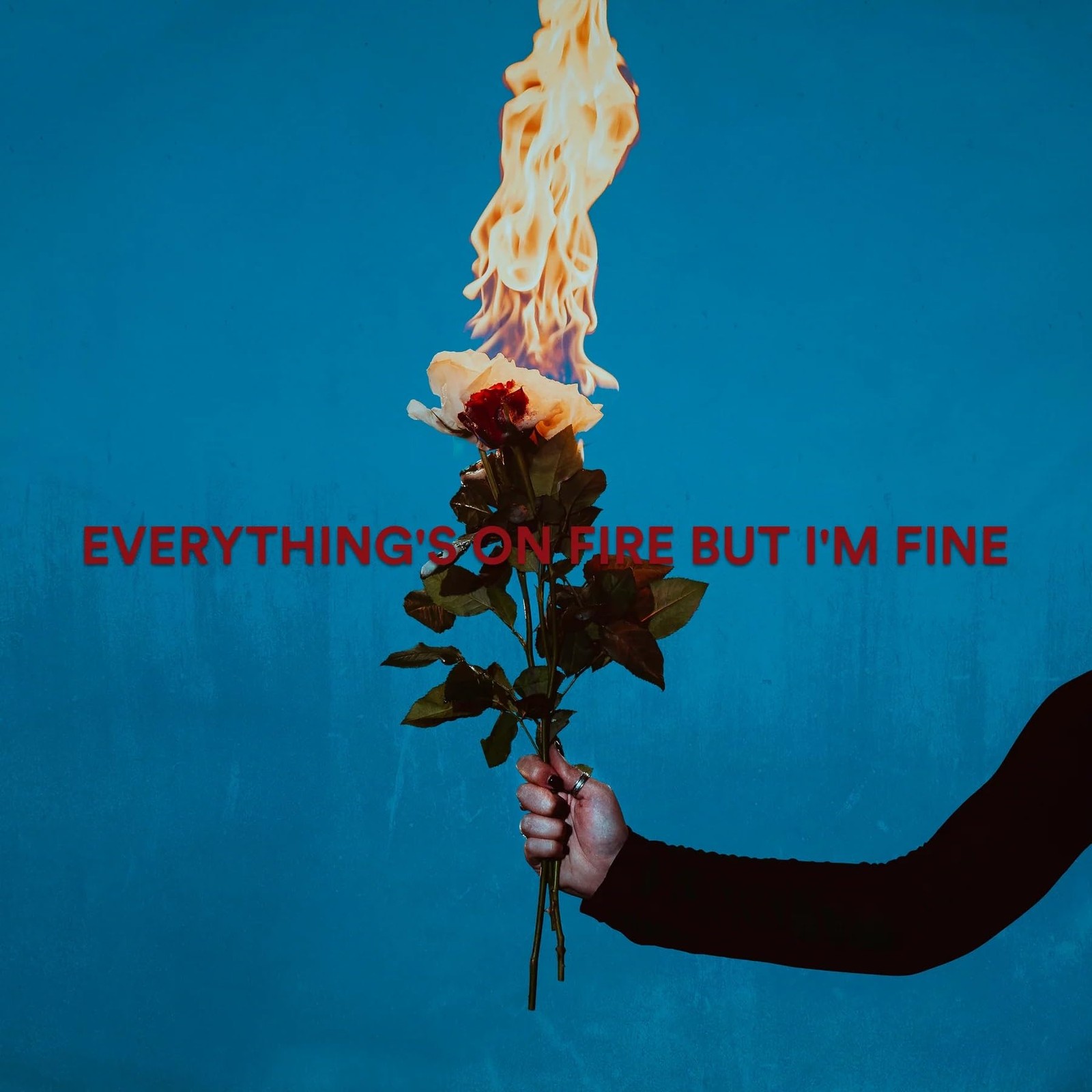 As December Falls Everything's On Fire But I'm Fine CD NEW
