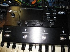 Fractal Audio AM4  (NEUWERTIG)
