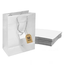 Novel Box White Gift Bags with Handles 10 Pack 4.75x3.25x6.75 Inches Small Paper