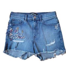 Express Embroidered Higher Rise Shorts Size 0