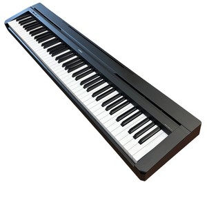 Yamaha P 250 | eBay