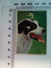 oxford prize dog series no 102 rough st. bernard cigerette card