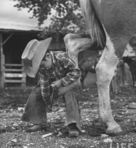 Box of 20 Used Steel Horseshoes from Montana patina included fast ship priority