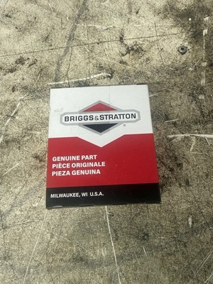 Briggs & Stratton OEM 793319 Ring Set