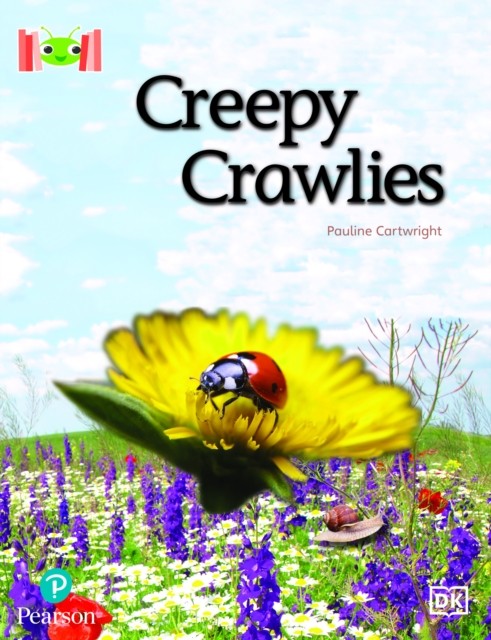 Bug Club Reading Corner Age 5-7 Creep