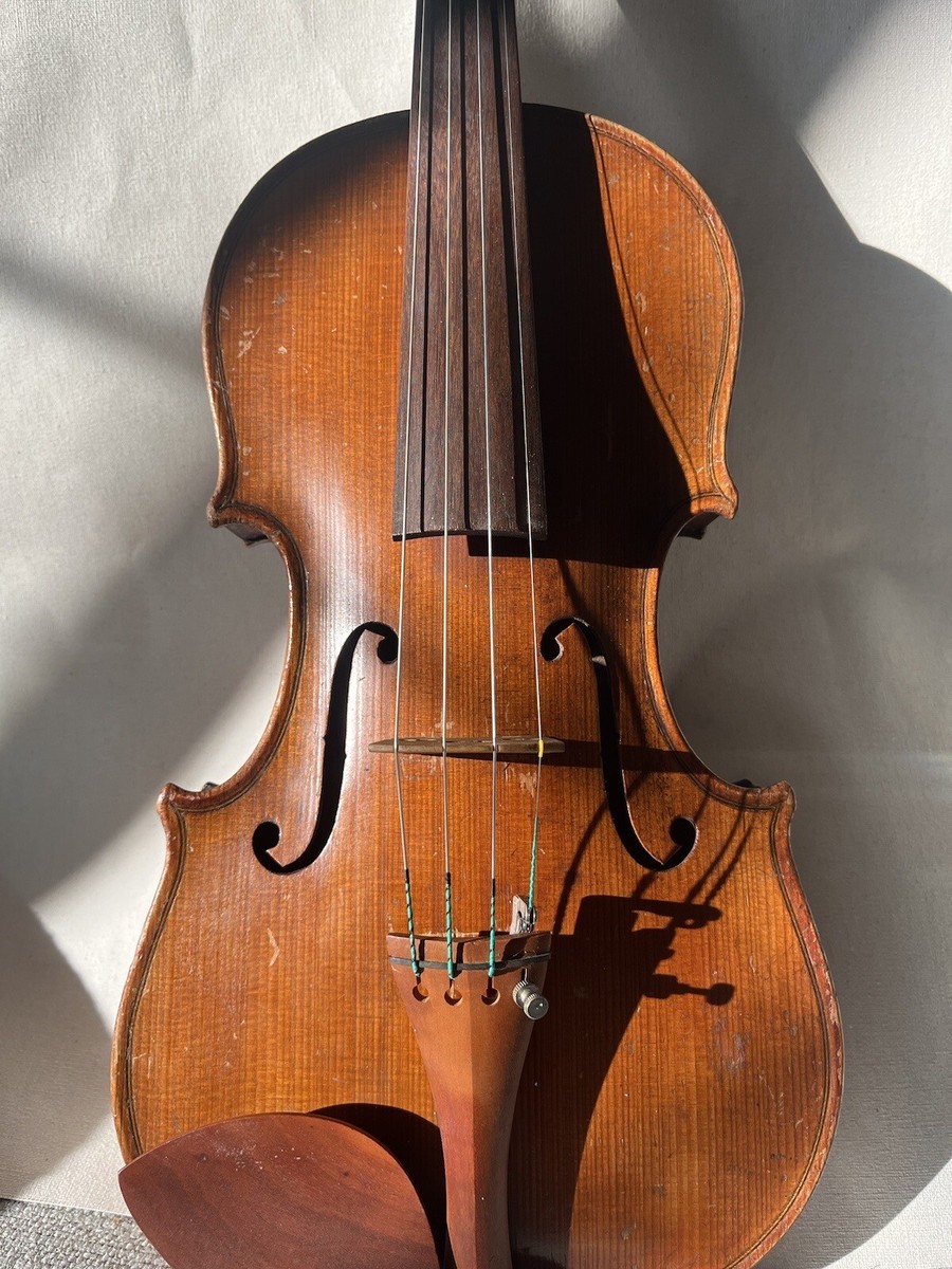 Video - Old Violin 4/4 Ferdinandus Gagliano Filius 1758
