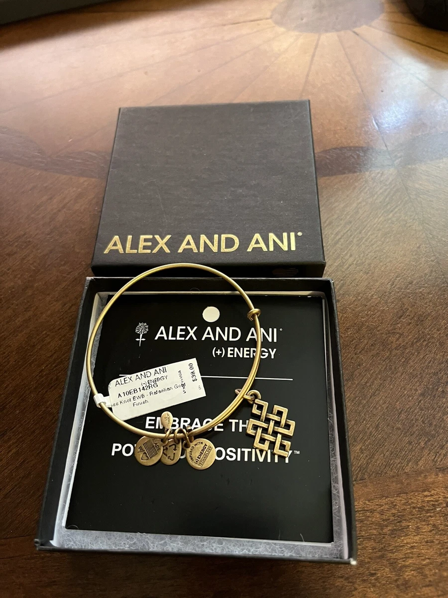 Alex Ani Energy Embrace The Power of Positivity Charm