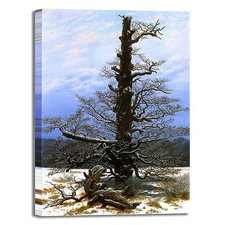 Caspar Oaktree con neve design quadro stampa tela dipinto telaio arredo casa