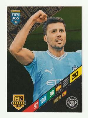 スポーツ選手 PANINI RODRI 09/10 Amazon.co.jp: PANINI RODRI 09/10 Manchester City Spain Team