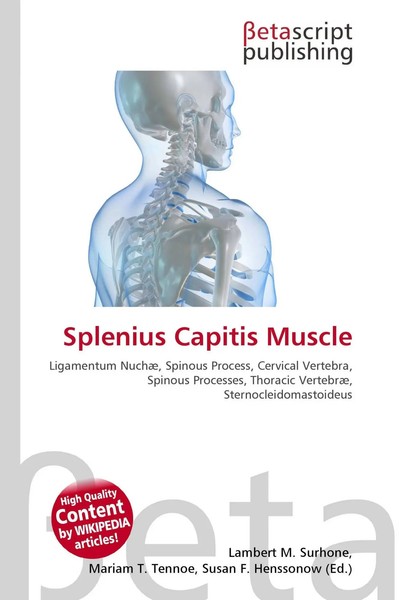 Lambert M. Surhone (U. A.) | Splenius Capitis Muscle | Taschenbuch | Englisch-image