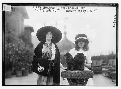 Kitty Balfour,Miss I.M.C. Lutton,'Kitty Darling','Dandy Marco Boy',1910-15,dogs