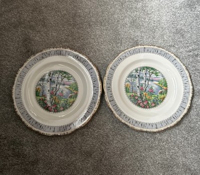 Royal Albert Silber Birke Bone China Teller 10,5'' x 2