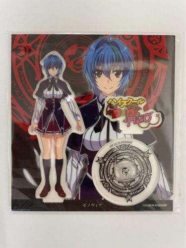 High School DxD Hero Xenovia Acrylic Stand Figure Anime Goods Japan - Picture 1 of 1