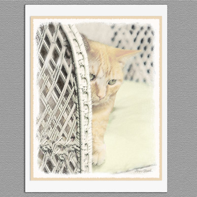 6 Orange Tabby Cat Blank Art Note Greeting Cards