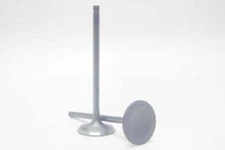 Safety Auto Parts Intake Valve Item #VN25-286