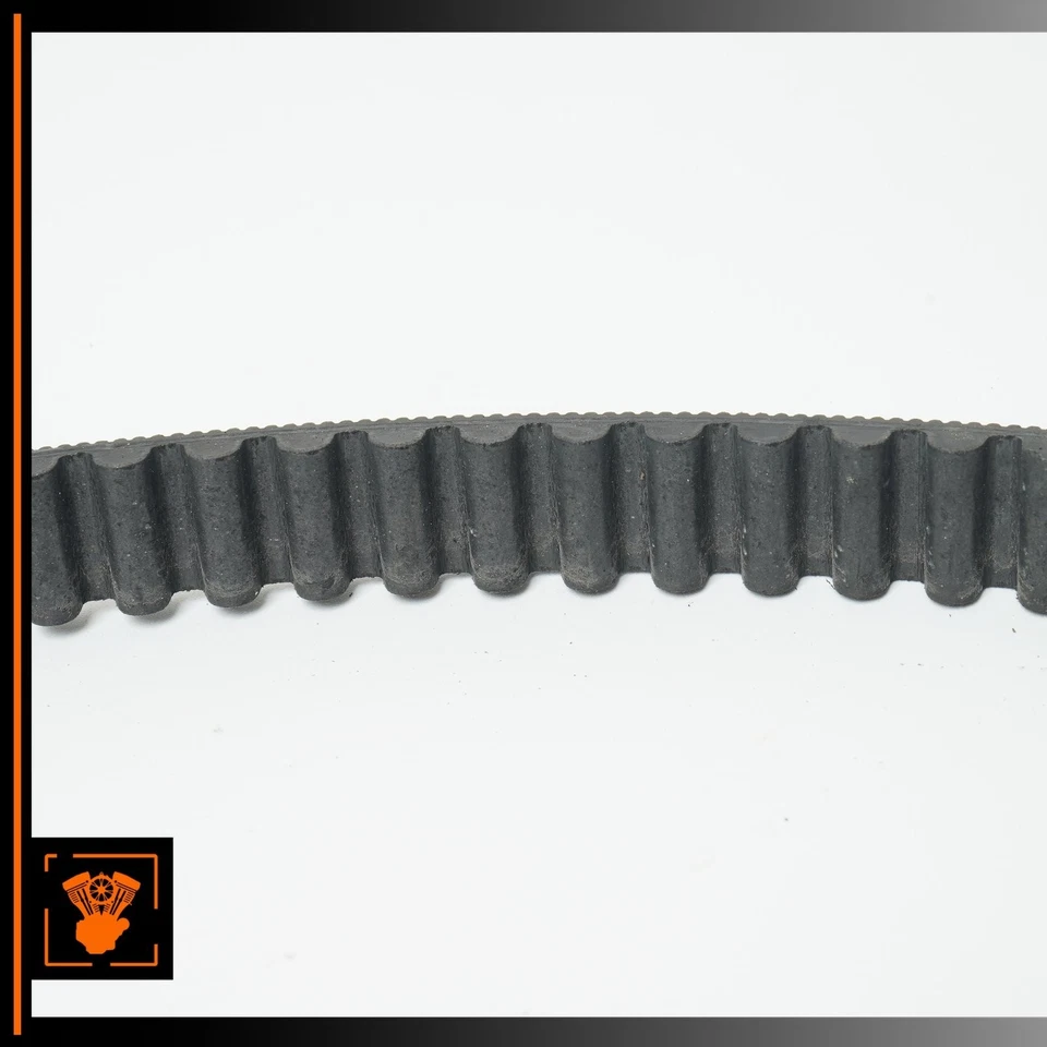 Harley XL1200L 137T 2008 correa de transmisión de distribución del motor 40591-07 OEM 9 k Foto 4 de 4