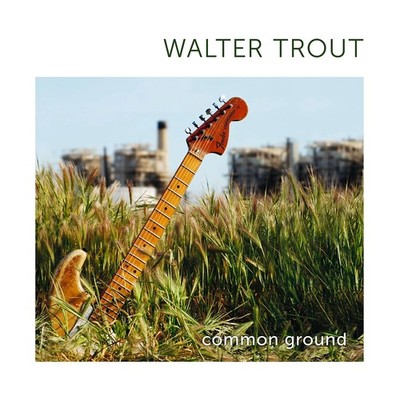 Walter Trout Common Ground (15th Anniversary Edition) (Vinyl) (US IMPORT)