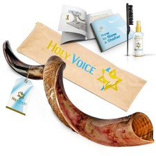 Kosher Kudu Shofar Horn from Israel 24"-28" Traditional Half-Polished Yemenit...