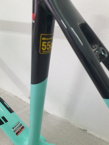 Bianchi Specialissima SV Frameset Size 55 Rim Brake - Picture 15 of 16