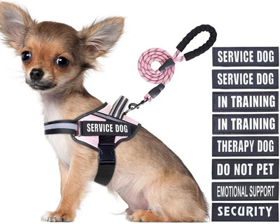 Service Dog Vest Harness and Leash Set,  in Training Dog Harness with 10 Dog Pat