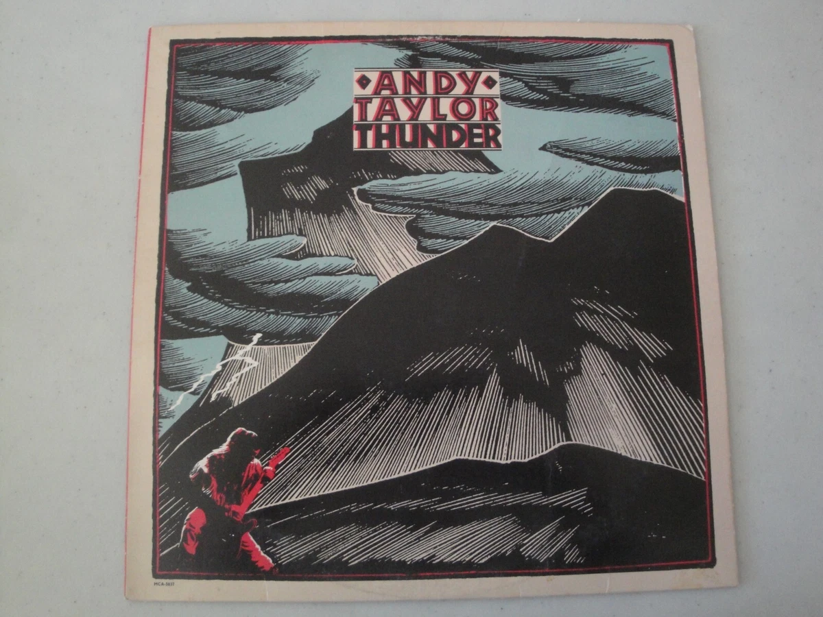 andy taylor thunder products for sale | eBay