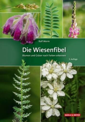 Die Wiesenfibel Blumen Und Gräser Nach Farben Erkennen 6018