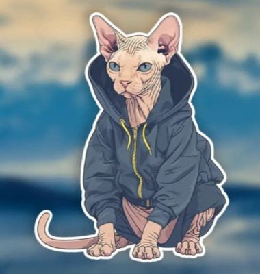 Süßer Hoodie Sphynx Katze Aufkleber Sticker Wandbild Laptop Glatze 11x14cm Geschenk