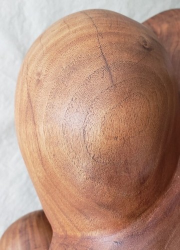 ¿Nogal tallado? Estatua de madera Wilkinson 1995 escultura madre abstracta orgánica 19" - Imagen 5 de 15