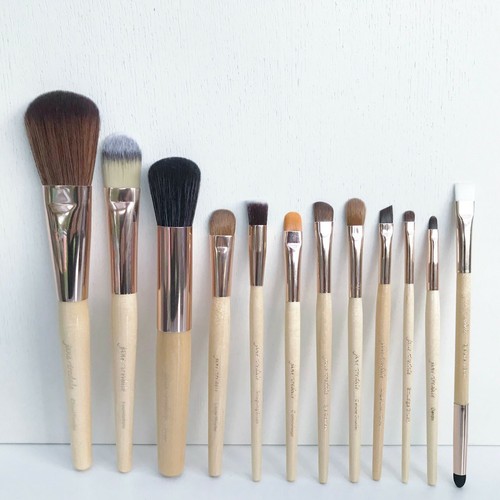 Jane Iredale 12 Piece Makeup Brush Set Kit, Full Size, Brand New!! - Afbeelding 1 van 8