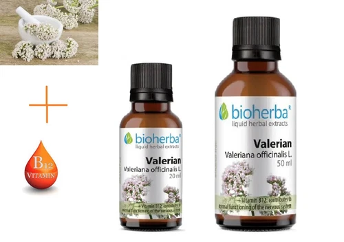 Natural Tincture Valeriana,Anti-stress,Nervous system support,Select 20/50 ml: