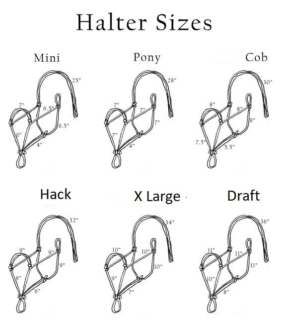 SOPORTES CUERDA CABALLO A1, CONSTRUCCIÓN REFORZADA SUAVE Y FUERTE Foto 3 de 4