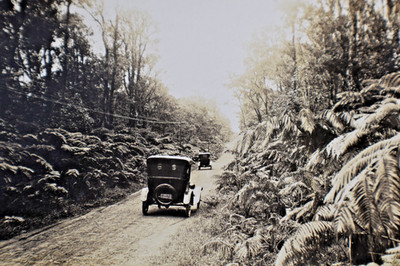RPPC Road to Volcano Hawaii Postcard
