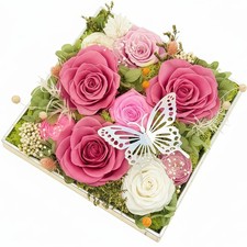 Preserved Pink White Rose Flowers For Prime Delivery Home Decor Gift Box