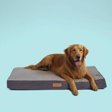Orthopedic Memory Foam Dog Bed for Extra Large Dogs, Waterproof Lining and No...