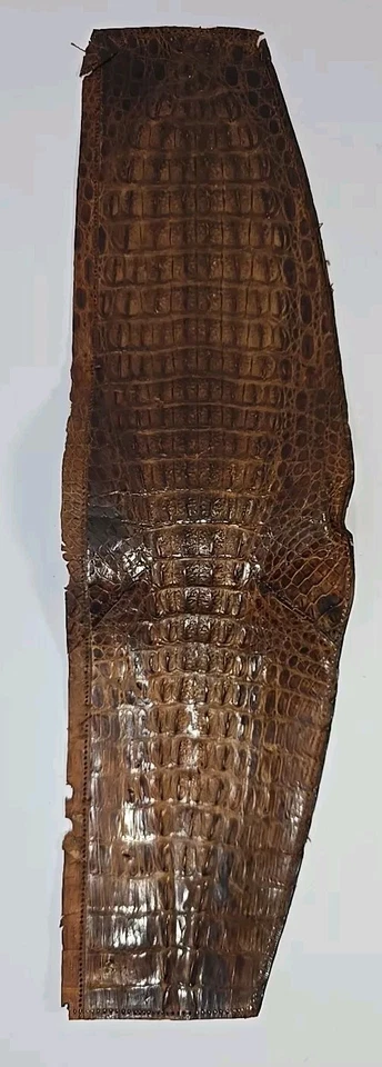 Crocodile/Alligator Leather Straps/Strips With Ties Please Read Description!!! - Image 2 of 4