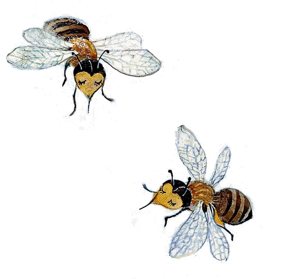 Thumbnail - Unser Apfelbaum, Görel Kristina Näslund