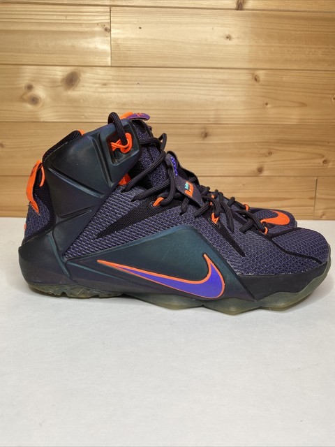 lebron 12 purple and green