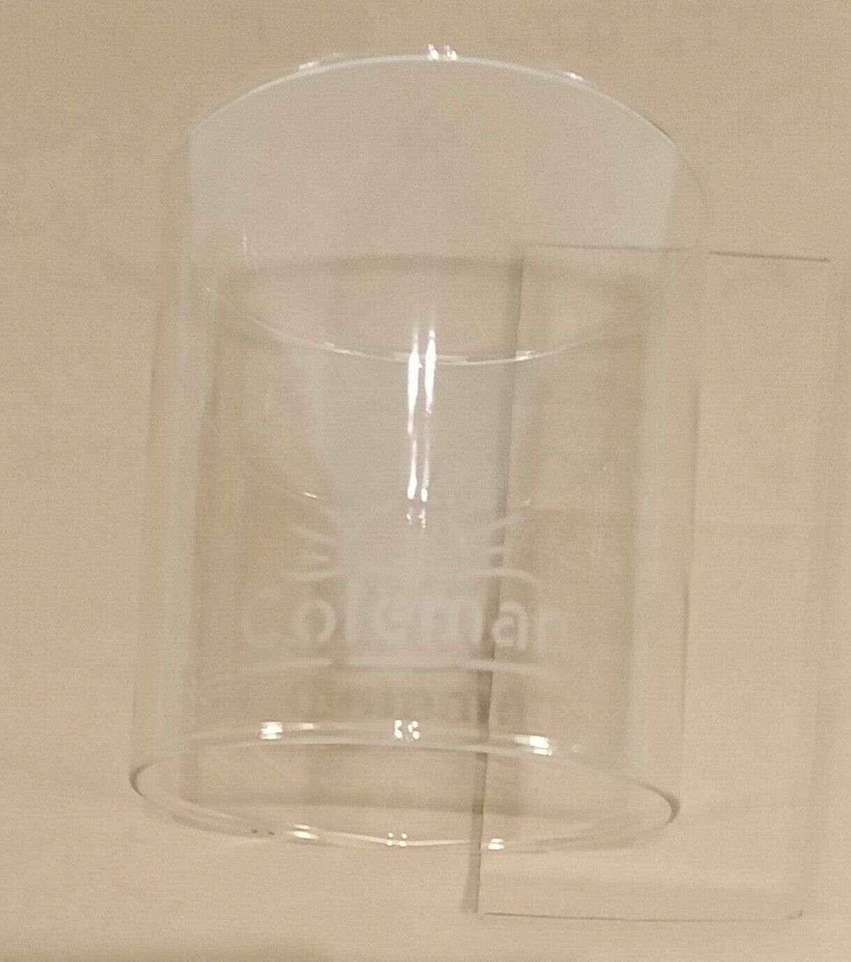 Vintage Rare Original Coleman Sand Etched Glass Globe Fits 220B Lantern 