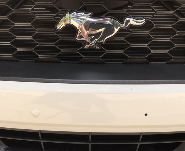 Ford Oxford White License Plate Bumper Plugs eBay