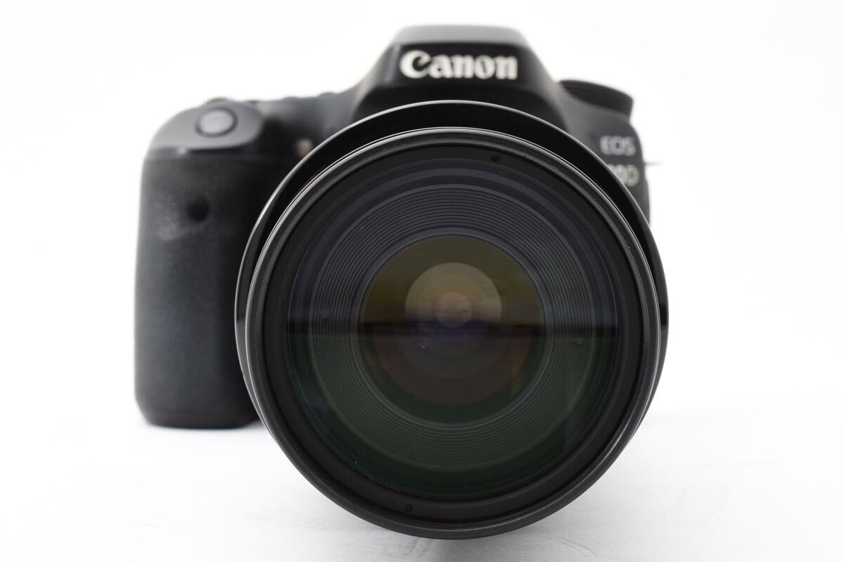 Canon EOS 80D DSLR Camera & EF100-300mm f/5.6 Telephoto Lens