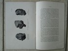 Picture 5 of 24