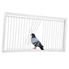 Pigeon Hits The Door Pigeon Birds House Door Pigeon Bird Entrance Door Pigeon...