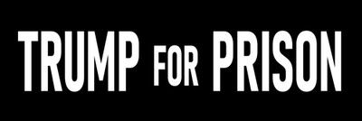 Trump for Prison Magnet Large 3x10 Bumper Sticker Size Jail Criminal Trump