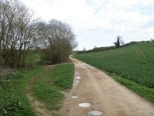 Photo 6x4 Driveway to the farm Ettington From the A429 road, this drivewa c2017
