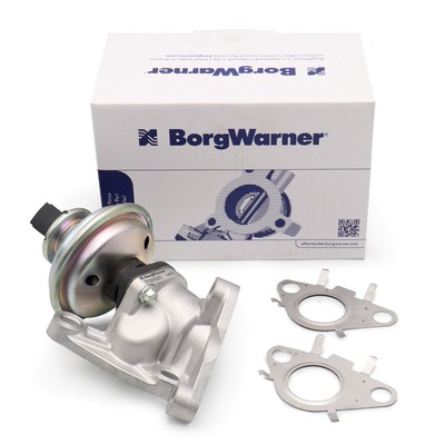 BORGWARNER AGR-Ventil für MINI R55 R56 R57 R58 R59 R60 R61 N47 11717823316