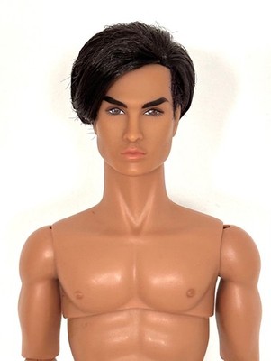 Ooak Fashion Royalty Sounds Individual Romain Perrin Homme Integrity Toys