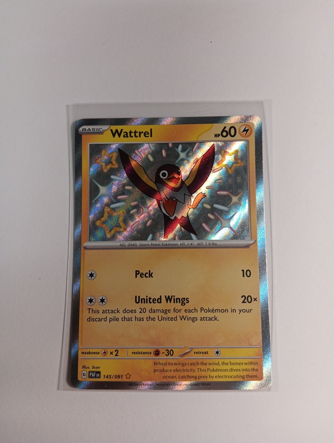 Wattrel 145/091 Sv: Paldean Fates Holo Baby Shiny Rare NM Condition