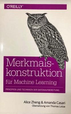 Merkmalskonstruktion für Machine Learning-Mängelexemplar,